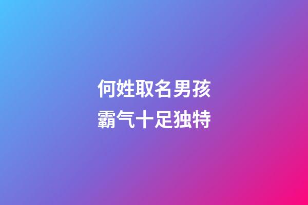 何姓取名男孩霸气十足独特(何姓取名字大全男孩)-第1张-男孩起名-玄机派