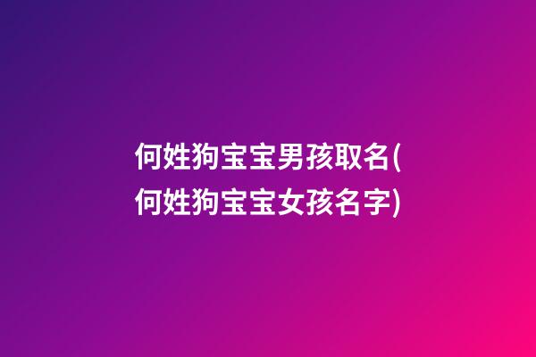 何姓狗宝宝男孩取名(何姓狗宝宝女孩名字)