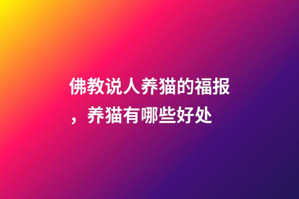 佛教说人养猫的福报，养猫有哪些好处