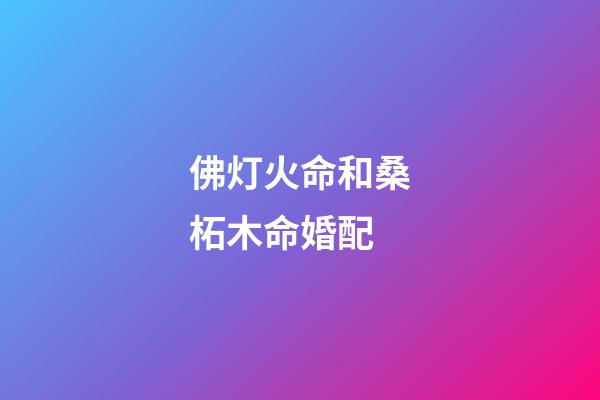 佛灯火命和桑柘木命婚配
