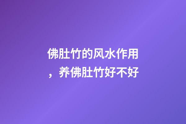 佛肚竹的风水作用，养佛肚竹好不好