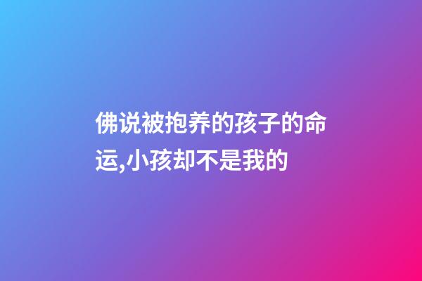 佛说被抱养的孩子的命运,小孩却不是我的-第1张-观点-玄机派