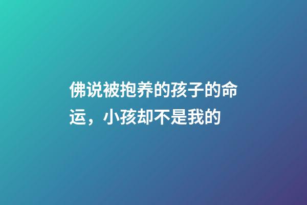 佛说被抱养的孩子的命运，小孩却不是我的-第1张-观点-玄机派