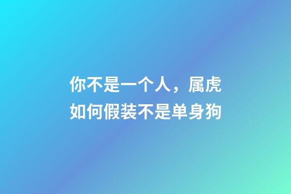 你不是一个人，属虎如何假装不是单身狗