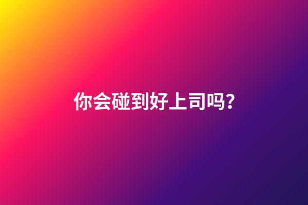 你会碰到好上司吗？