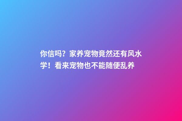 你信吗？家养宠物竟然还有风水学！看来宠物也不能随便乱养