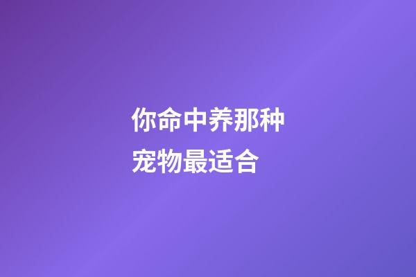 你命中养那种宠物最适合
