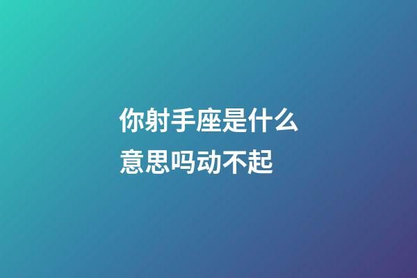 你射手座是什么意思吗动不起-第1张-星座运势-玄机派