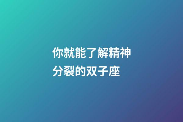 你就能了解精神分裂的双子座