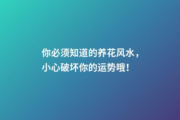 你必须知道的养花风水，小心破坏你的运势哦！