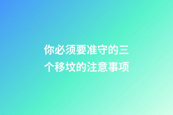 你必须要准守的三个移坟的注意事项