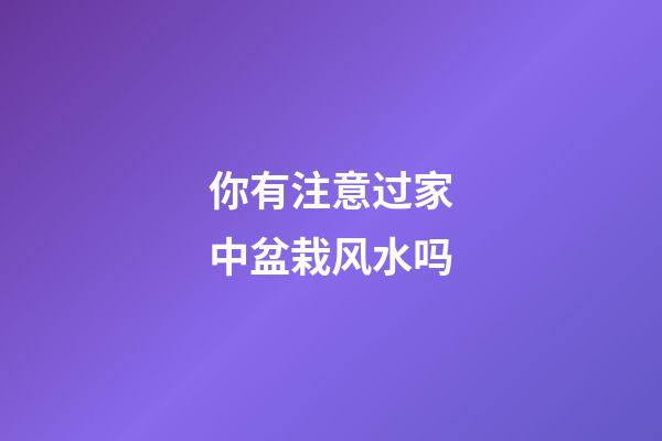 你有注意过家中盆栽风水吗