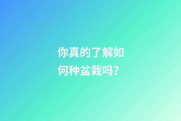 你真的了解如何种盆栽吗？