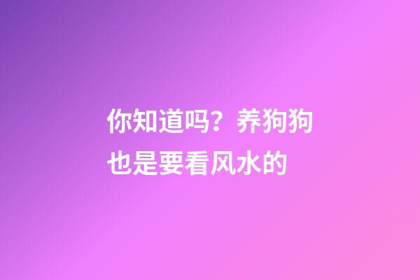 你知道吗？养狗狗也是要看风水的