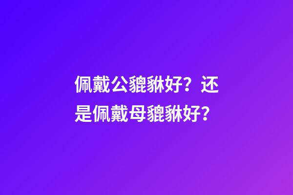 佩戴公貔貅好？还是佩戴母貔貅好？
