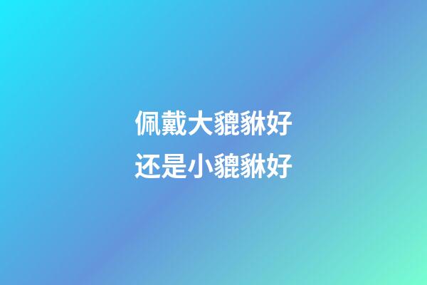 佩戴大貔貅好还是小貔貅好