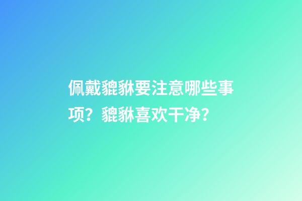佩戴貔貅要注意哪些事项？貔貅喜欢干净？