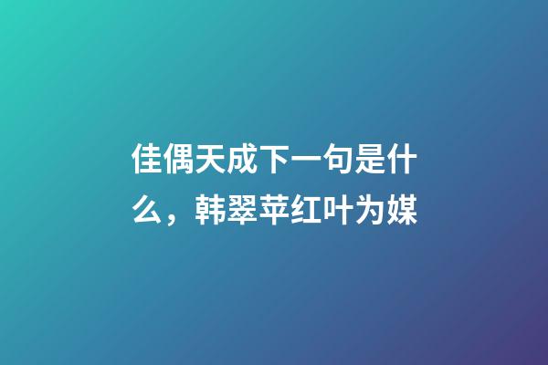 佳偶天成下一句是什么，韩翠苹红叶为媒-第1张-观点-玄机派