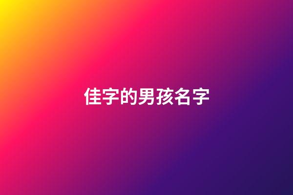佳字的男孩名字(佳字的男孩名字大全)-第1张-男孩起名-玄机派