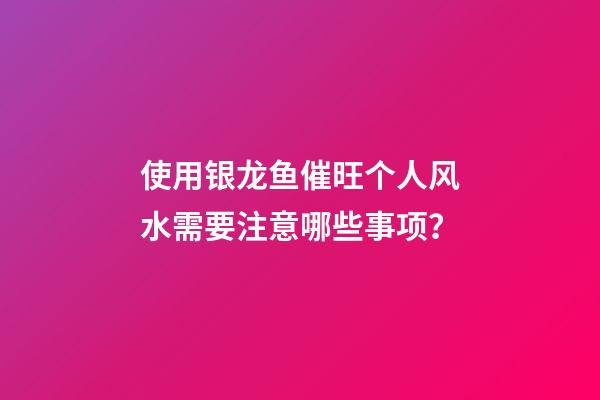使用银龙鱼催旺个人风水需要注意哪些事项？