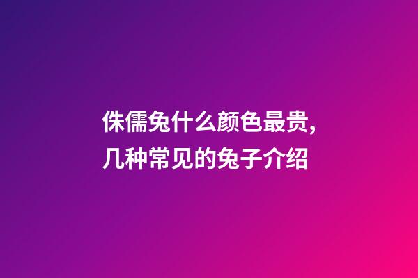 侏儒兔什么颜色最贵,几种常见的兔子介绍-第1张-观点-玄机派