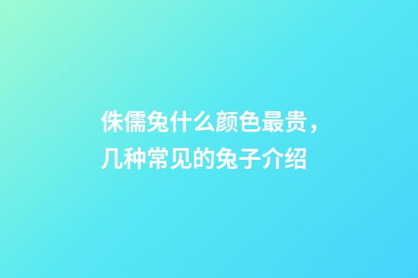 侏儒兔什么颜色最贵，几种常见的兔子介绍-第1张-观点-玄机派