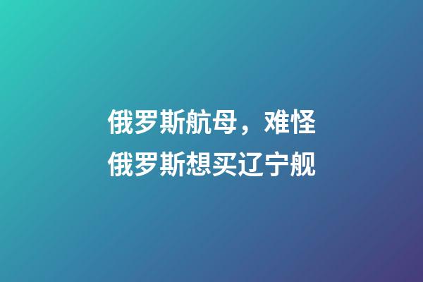 俄罗斯航母，难怪俄罗斯想买辽宁舰-第1张-观点-玄机派