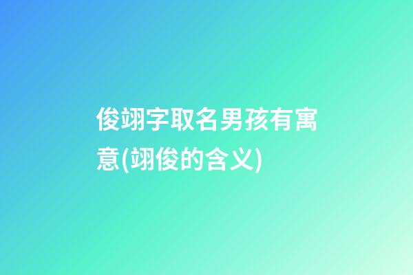 俊翊字取名男孩有寓意(翊俊的含义)