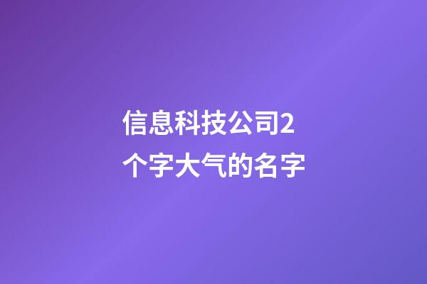 信息科技公司2个字大气的名字