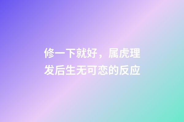修一下就好，属虎理发后生无可恋的反应