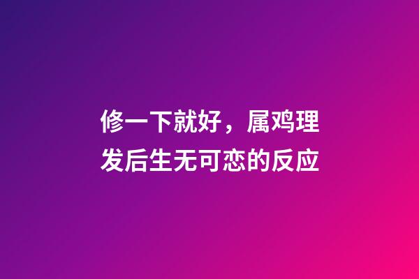 修一下就好，属鸡理发后生无可恋的反应