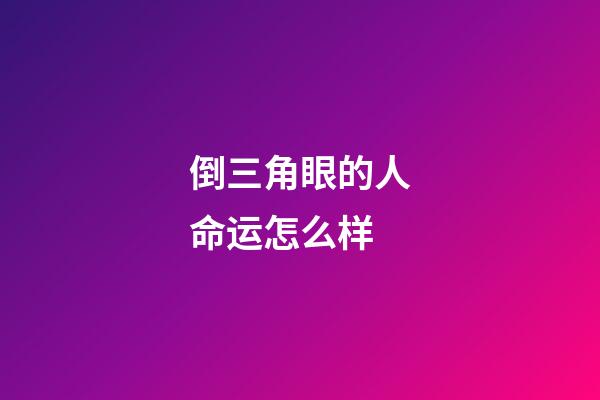倒三角眼的人命运怎么样
