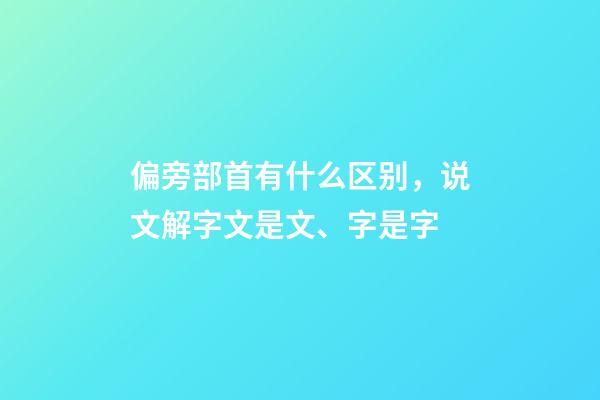 偏旁部首有什么区别，说文解字文是文、字是字-第1张-观点-玄机派