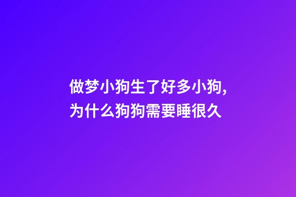做梦小狗生了好多小狗,为什么狗狗需要睡很久-第1张-观点-玄机派