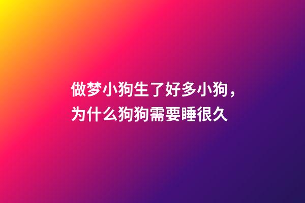 做梦小狗生了好多小狗，为什么狗狗需要睡很久-第1张-观点-玄机派