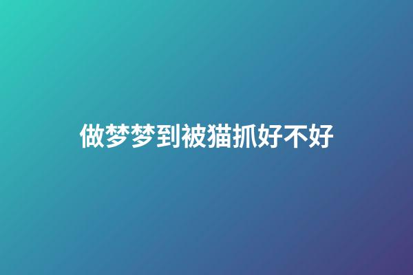 做梦梦到被猫抓好不好