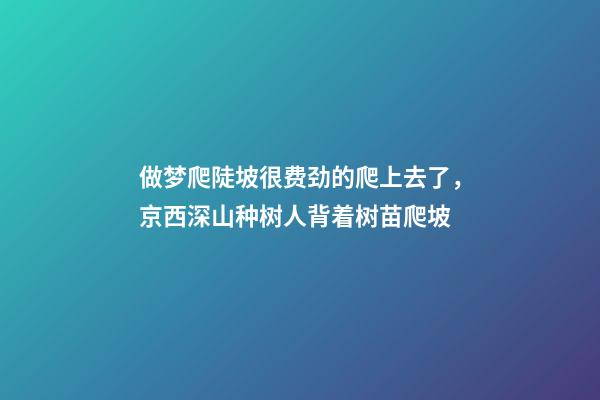 做梦爬陡坡很费劲的爬上去了，京西深山种树人背着树苗爬坡-第1张-观点-玄机派