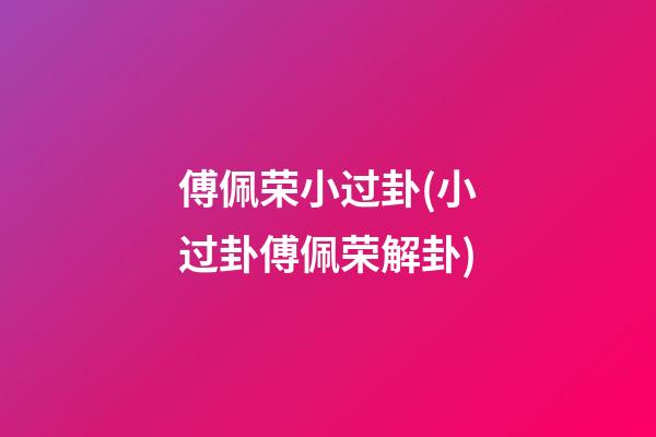 傅佩荣小过卦(小过卦傅佩荣解卦)