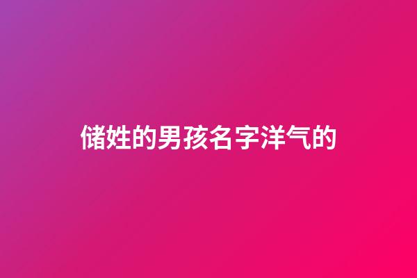 储姓的男孩名字洋气的(储字取名男孩名字)-第1张-男孩起名-玄机派