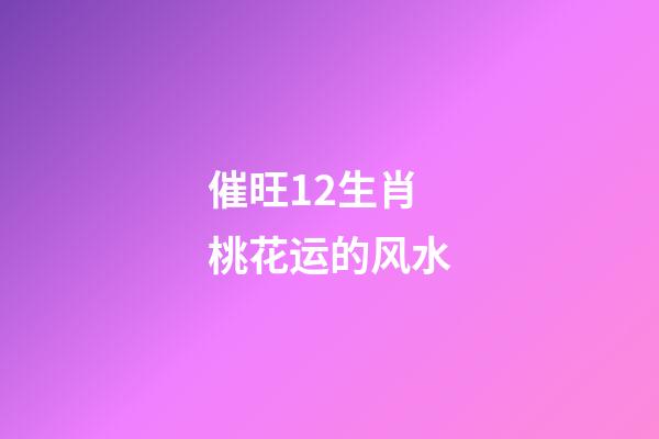 催旺12生肖桃花运的风水