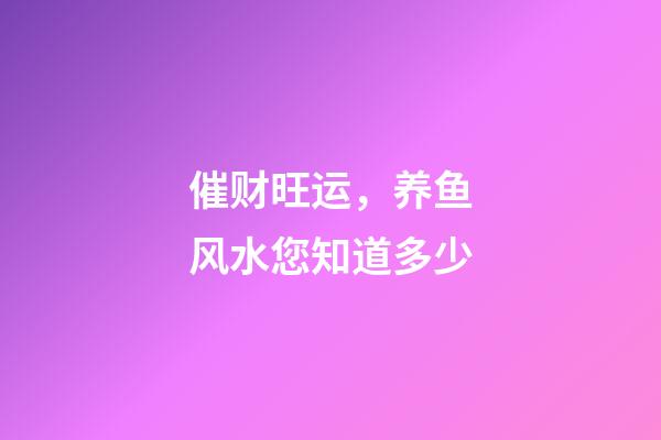 催财旺运，养鱼风水您知道多少