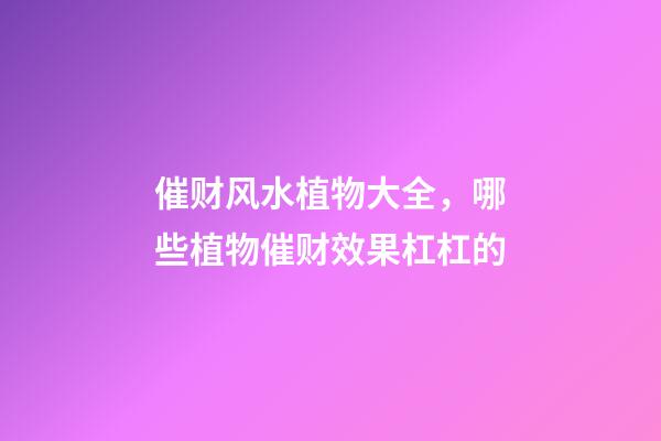 催财风水植物大全，哪些植物催财效果杠杠的