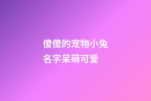 傻傻的宠物小兔名字呆萌可爱