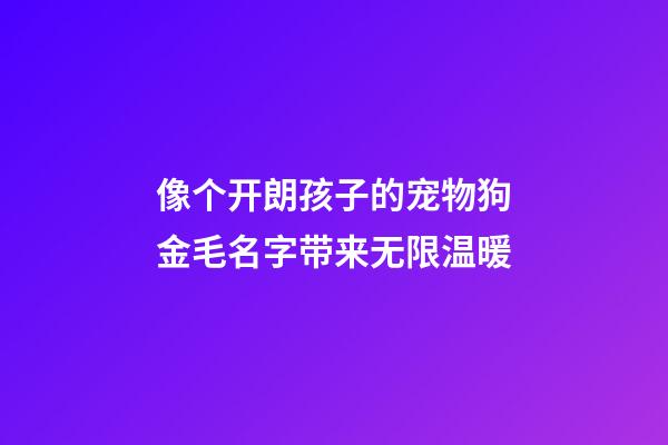 像个开朗孩子的宠物狗金毛名字带来无限温暖