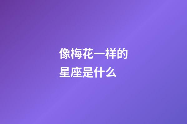 像梅花一样的星座是什么-第1张-星座运势-玄机派