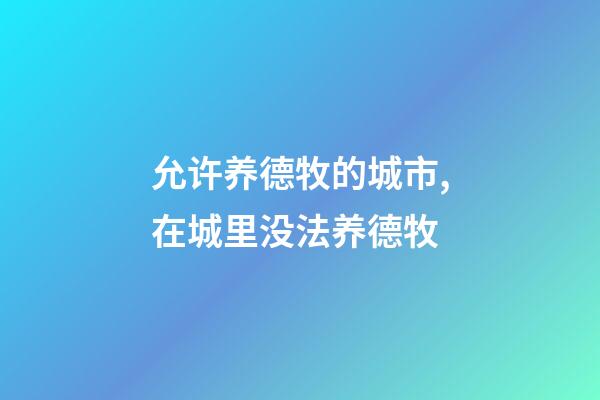 允许养德牧的城市,在城里没法养德牧-第1张-观点-玄机派