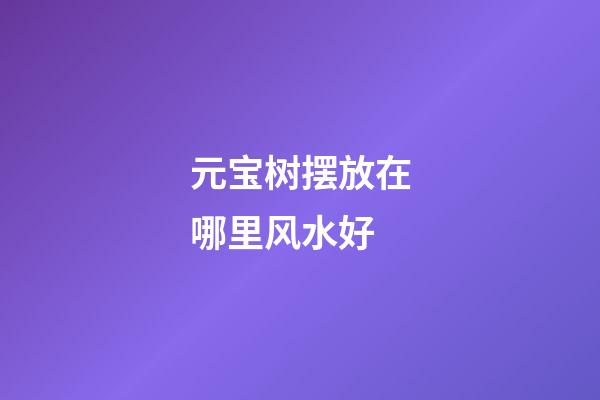 元宝树摆放在哪里风水好