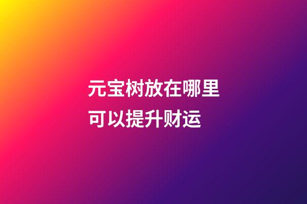 元宝树放在哪里可以提升财运