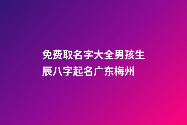 免费取名字大全男孩生辰八字起名广东梅州(梅州宝宝起名)