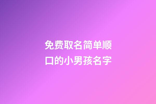 免费取名简单顺口的小男孩名字
